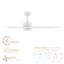 Ventilateur de plafond intelligent à 3 pales 52 pouces pour l'intérieur et l'extérieur Cyclone Collection 2700K-6000K-2018547084