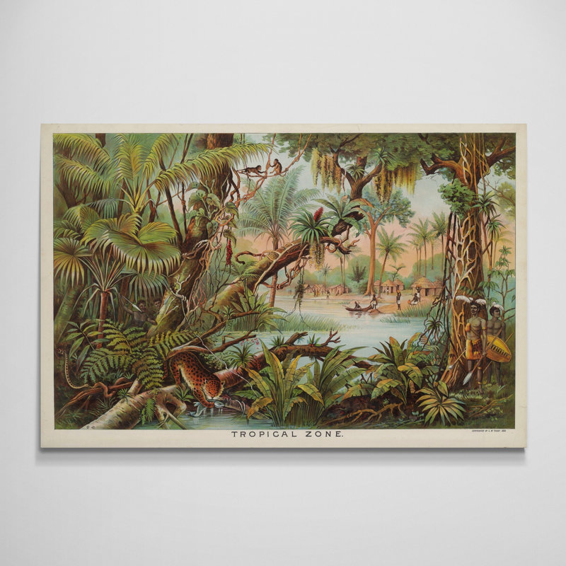 Tropical Zone by Levi Walter - Wrapped Canvas Art Prints, 21 cm H x 31 cm W