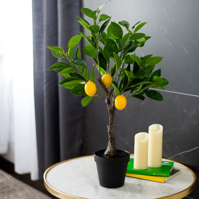 23.5'' Faux Lemon Tree in Concrete Pot