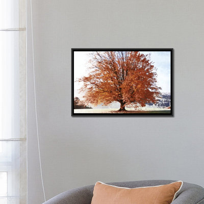 «Season of Fall» par Irene Weisz - reproduction d'art sur toile tendue