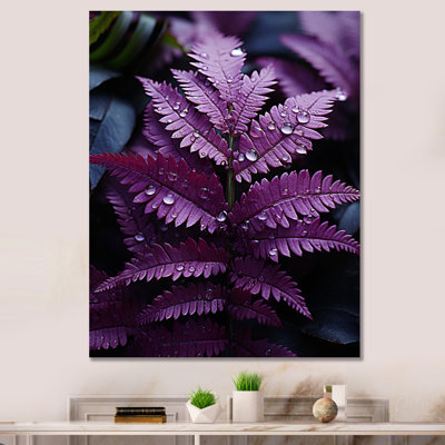 Aurthur " Prupel Ferns Amethyst Shadows "