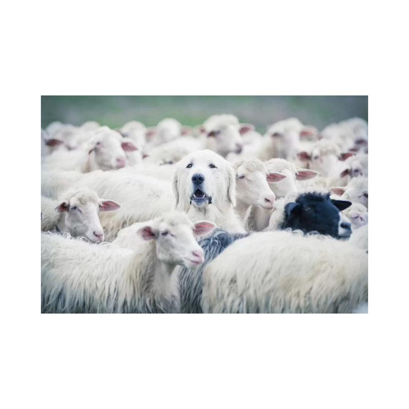 In Disguise by Adrian Popan - Wrapped Canvas Print, 101.6 cm H x 66.04 cm W x 3.175 cm D