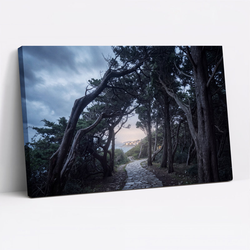 Art mural sur toile Tw Twist Trees Stone Path To Coastal Village, H 28 po x l 40 po