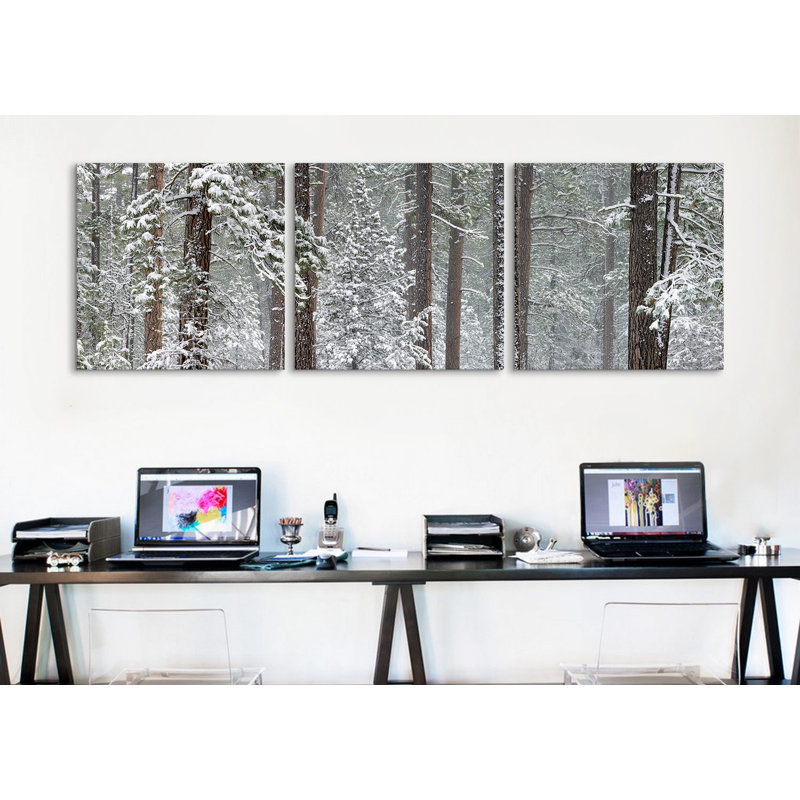 « ponderosa », ensemble de 3 reproductions de photos sur toiles tendues recouvertes de neige, H 16 po x l 48 po x P 1,5 po