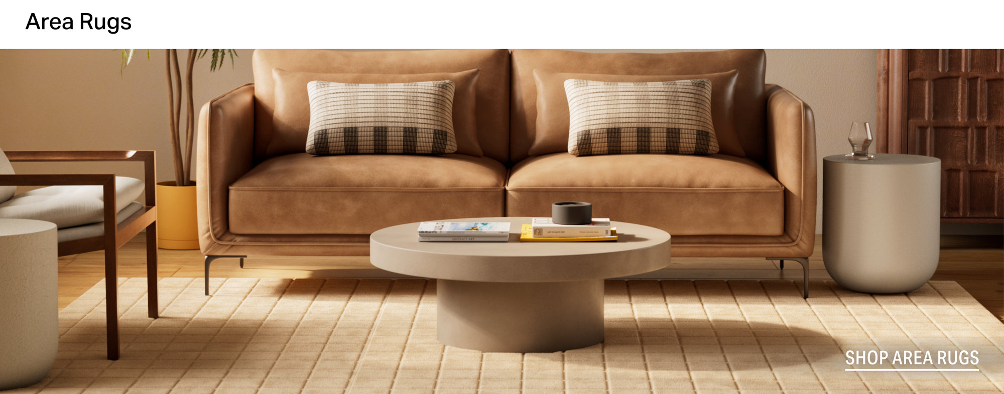 Area Rugs