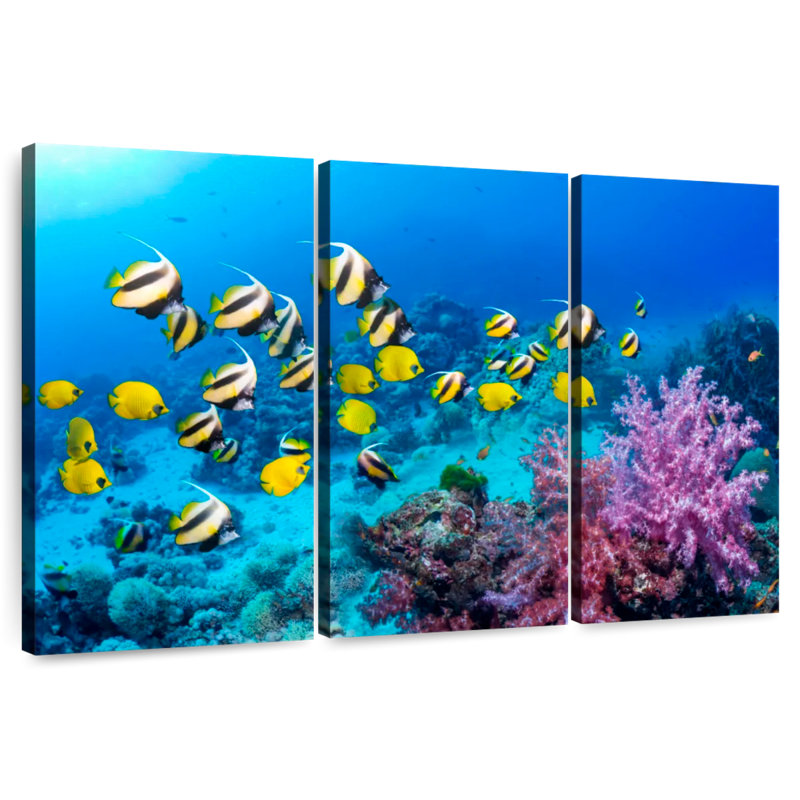 Brampt Gorgeous Coral Reef, 36" H x 57" W
