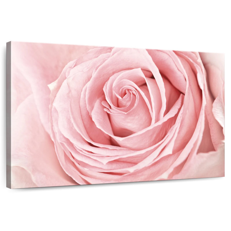 Rose fraîche Harnek, H 34 po x l 51 po