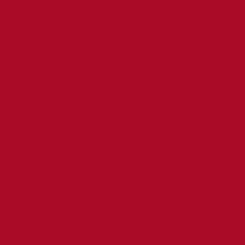Ensemble d'édredon ultra-doux toutes saisons, Rouge, Édredon pour lit simple + 1 taie décorative stan