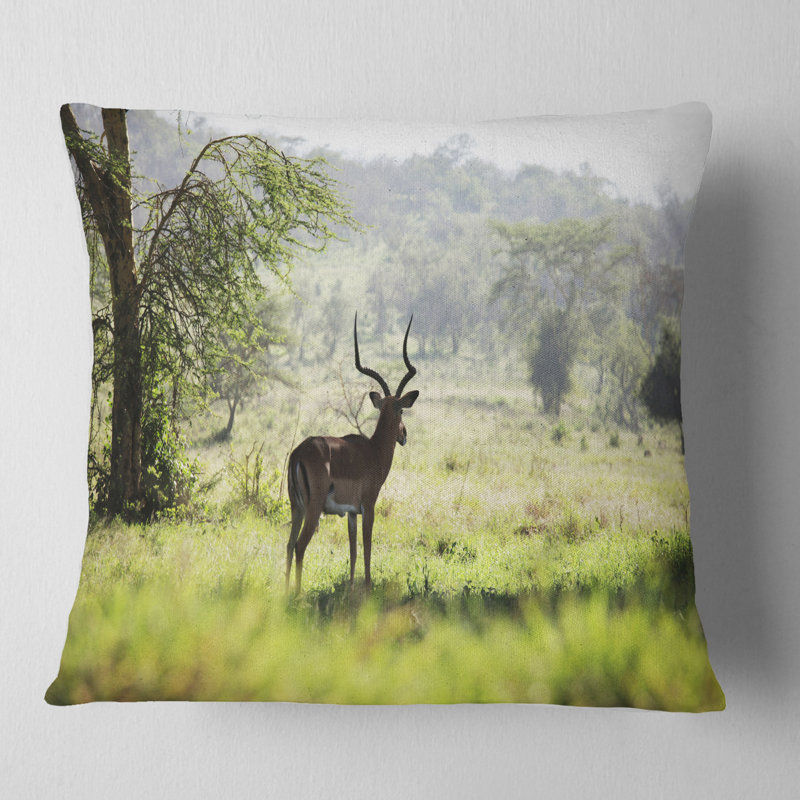 Coussin décoratif solitaire Antilope in Green Park, 16 po x 1 po, Carré
