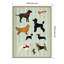 «Dog Days Montage I» par Ryan Fowler, reproduction d'art sur toile encadrée-1679145639