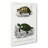 Tortoise & Turtle Illustrations PL. 1 by Charles D' Orbigny - Wrapped Canvas Painting-55361401