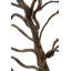 Décoration murale carrée en bois de teck et branches de Bauhinia-1668601562