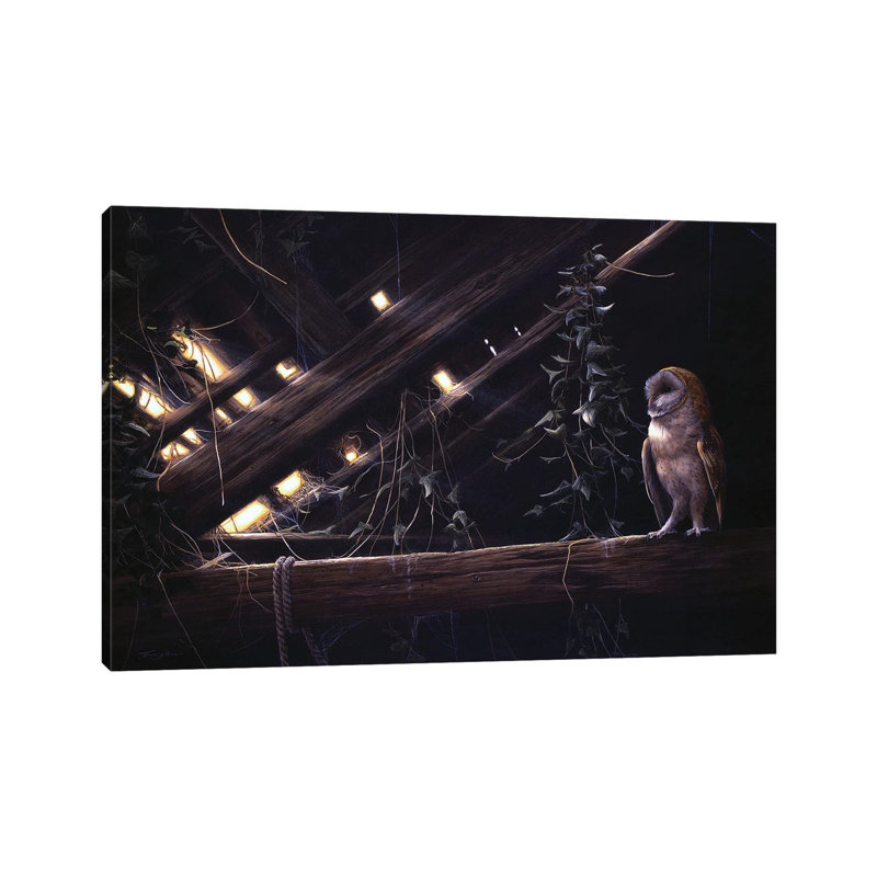 " Barn Owl " by Jeremy Paul, 18" H x 26" W x 1.5" D