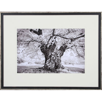 Tree Study I Print by Stawiorz