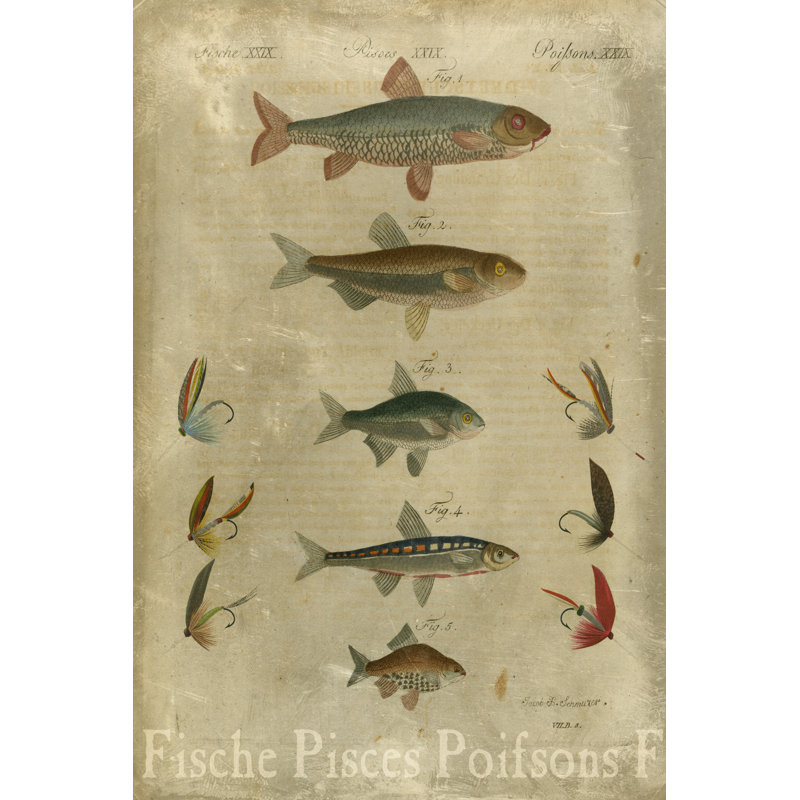 " Pisces Composition I ", 36" H x 24" W x 1.25" D