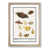 Oak Framed selected