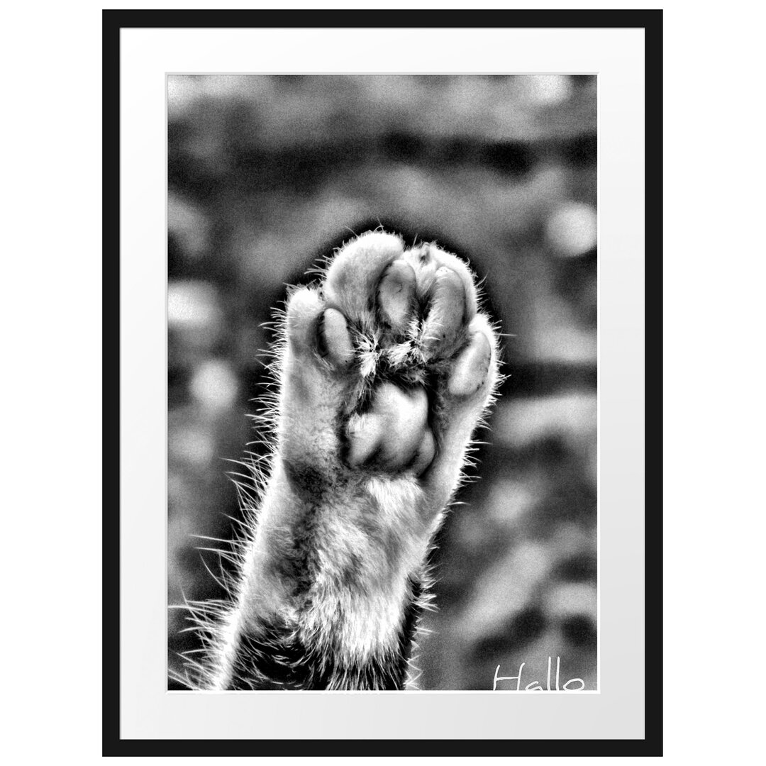 Gerahmtes Poster Small Cat Paws