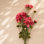 Ensemble de fleurs Dahlia (ensemble de 2)
