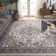 Klose Performance Oriental Rug