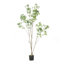 Pieris artificiel-1341383466