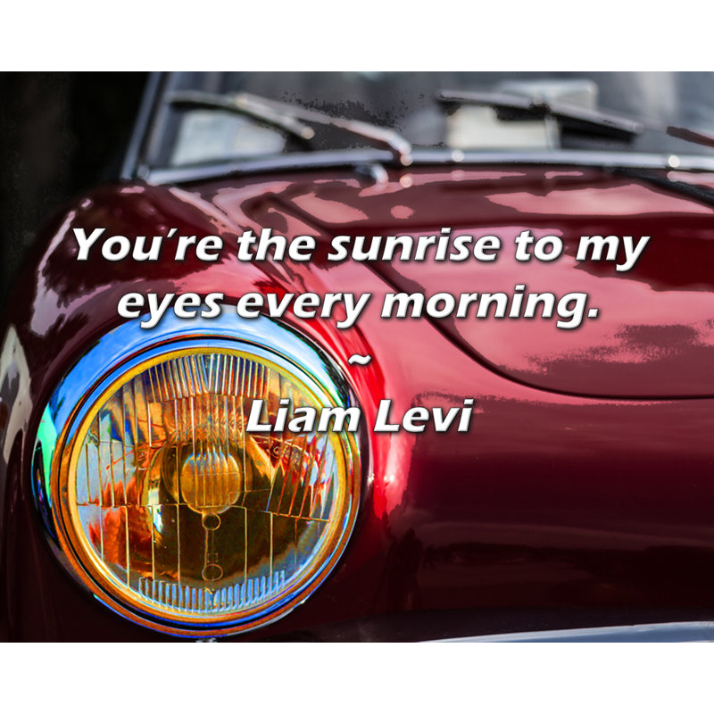 Citation de Liam Levi: «Vous êtes le lever du soleil à mes yeux tous les matins., H 20 po x l 24 po