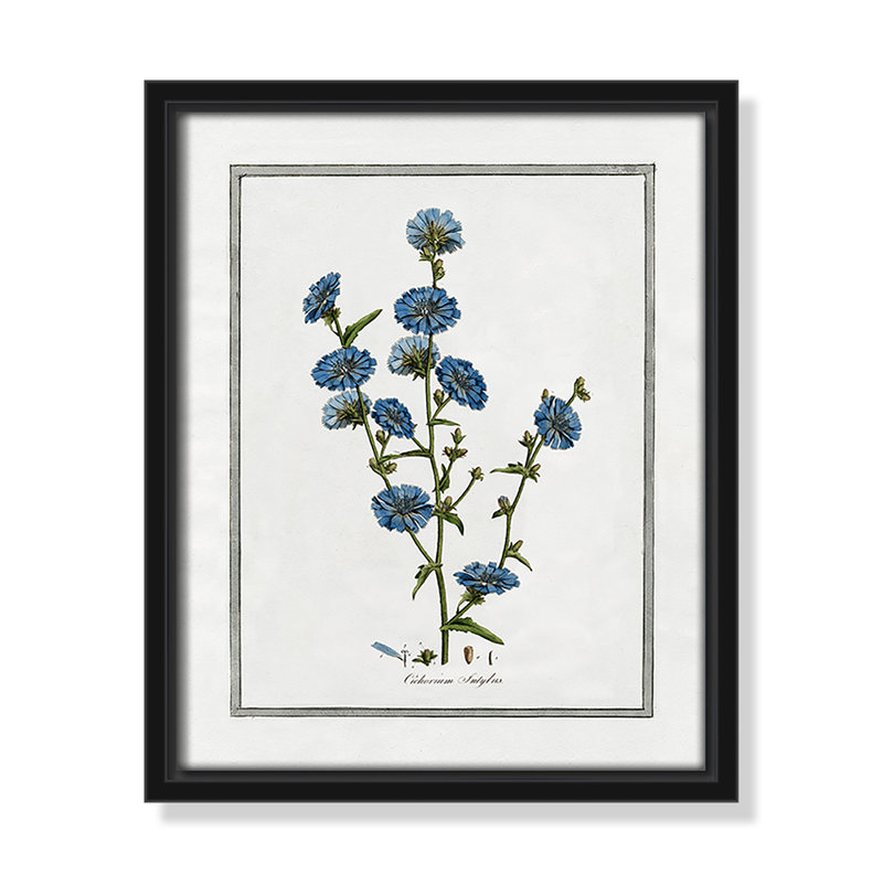 Shabby Soft Soft Botanical I - reproduction de cadre flottant sur toile, Noir, H 11,5 po x l 9,5 po x P 2 po