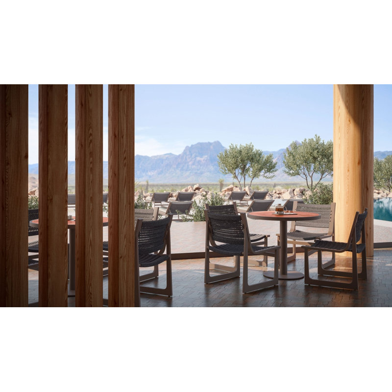 Cozumel Dining Chair, Matte Bronze/Morel