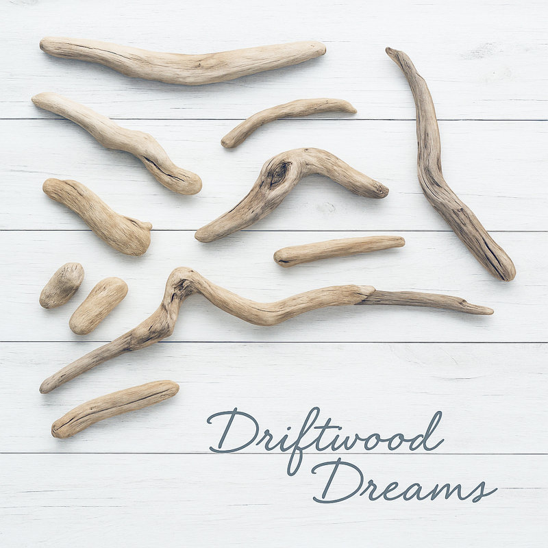 «Driftwood Dreams - Coastal Rustic Driftwood», art mural sur toile, H 31 po x l 31 po