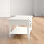Banes Solid Wood Solid Wood Coffee Table with Storage-14907114