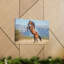 Art mural majestueux avec un cheval arabe-1645528823