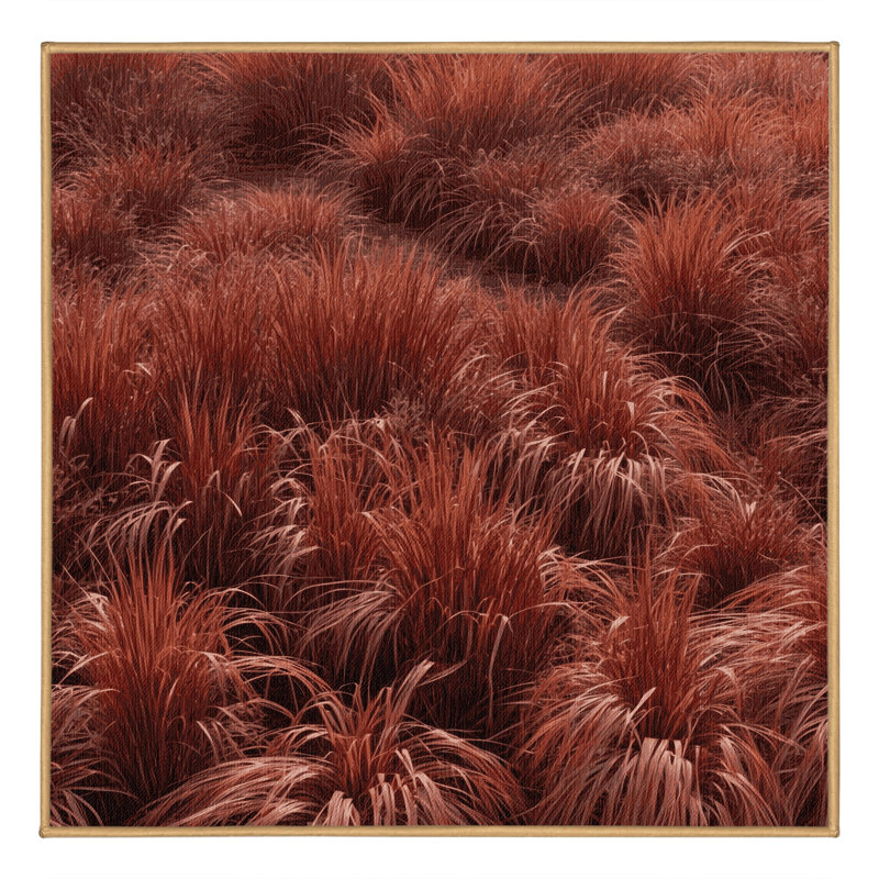 Machine Washable Botanical Brown Area Rug, Square 4'