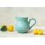 Hand Painted Ceramic Ceramic Pitcher-1666742984