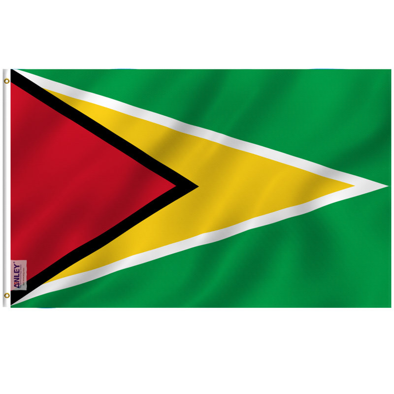 Drapeau de maison en polyester 3 x 5 pi Guyana Flag
