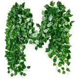 86.7'' Faux Lvy Leaf Plant