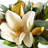 Silk Mixed Assortment Arrangement in Vase