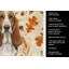 Torchon tricolore et blanc Basset Hound Heirloom-2083472647