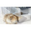 Stainless Steel Litter Box with Scoop