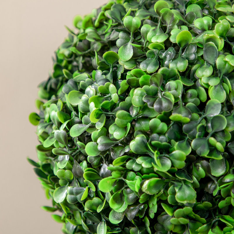 60cm Faux Boxwood Tree in Pot