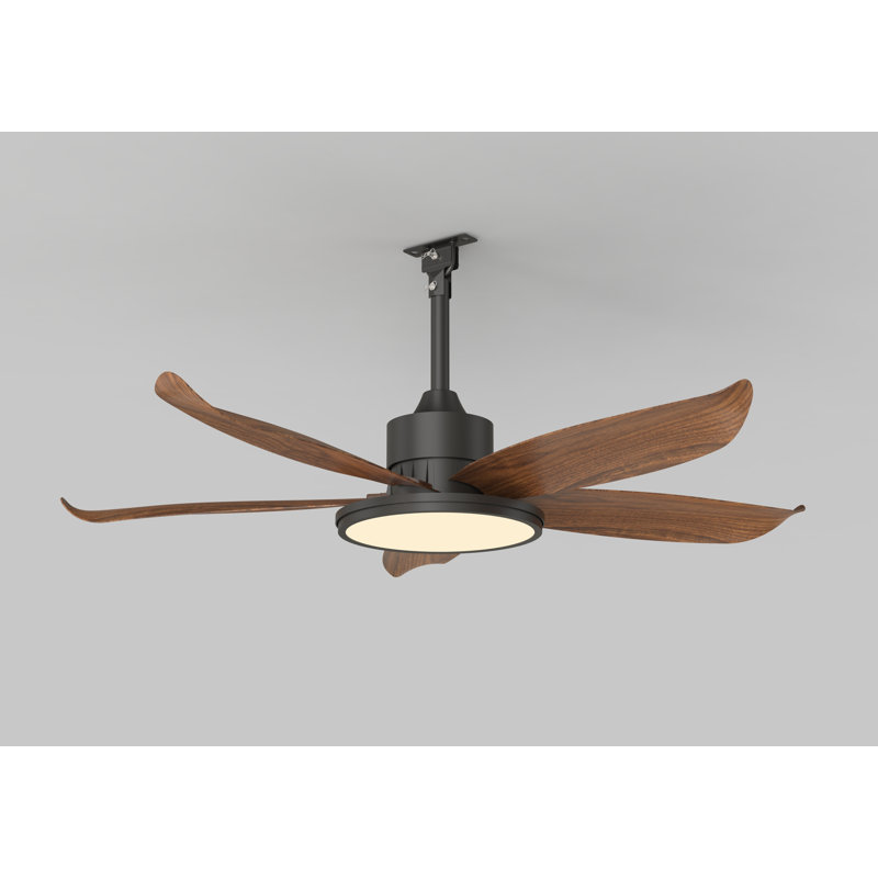 Ensemble d'éclairage pour ventilateur de plafond extérieur de 42 pouces avec télécommande