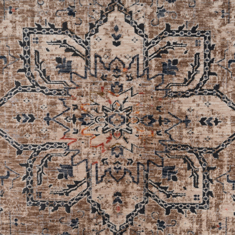 Caicey Oriental Area Rug, Rectangle 160 x 230cm