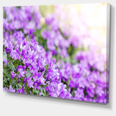 " Beautiful Campanula Flower Bouquet "