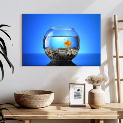 Brampt Pet Goldfish