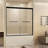 Double Sliding Shower Door