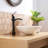Single-handle Bathroom Faucet with Drain Assembly
