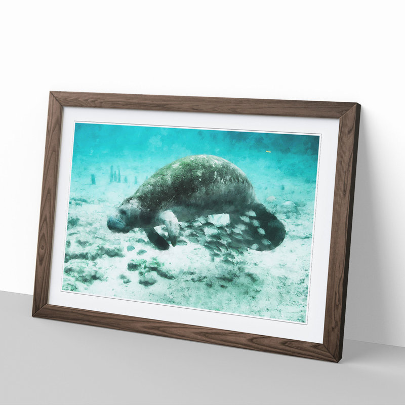 Manatee - Picture Frame Painting, 36cm H x 48cm W x 2cm D, Walnut Framed