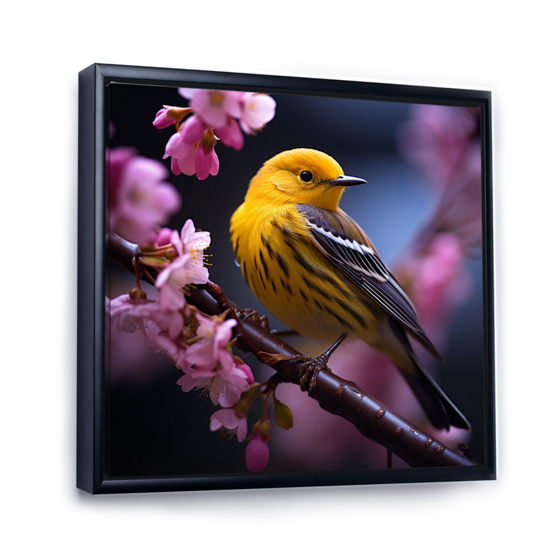 «Yellow Bird On Blossom Cherry I» sur toile, Cadre flottant noir, H 36 po x l 36 po x P 1,5 po