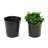 Meryem Pot Planter-136359155