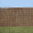 Sweitezer Brushwood Thatch Screen Roll -271737644