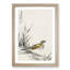 Chinese Tree-Pipit by Numata Kashu - Picture Frame Painting Print-55680392-55680389