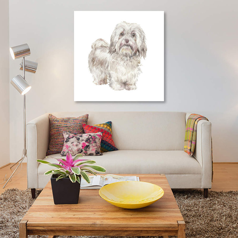 Bichon havanais cubain par Wandering Laur - reproduction d'art sur toile tendue, H 18 po x l 18 po x P 1,5 po, Toile tendue